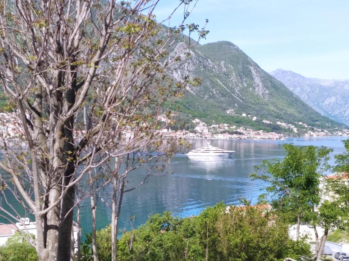 Apartments Dakovic M Kotor Exterior foto