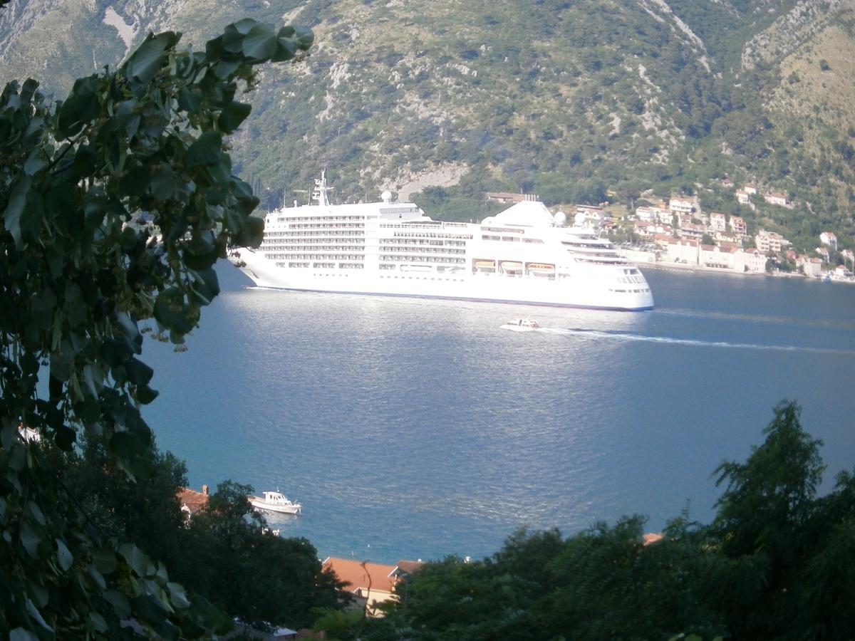 Apartments Dakovic M Kotor Zimmer foto